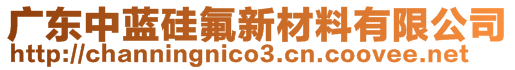 广东中蓝硅氟新材料有限公司