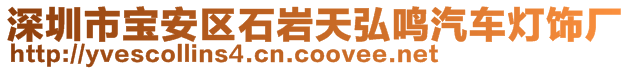 深圳市寶安區(qū)石巖天弘鳴汽車燈飾廠