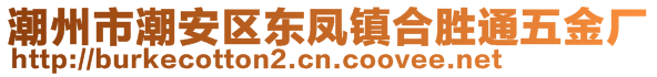 潮州市潮安區(qū)東鳳鎮(zhèn)合勝通五金廠