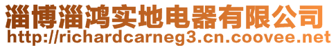淄博淄鴻實(shí)地電器有限公司