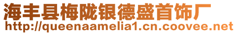 海豐縣梅隴銀德盛首飾廠
