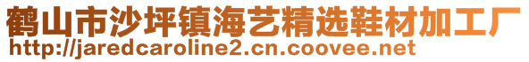 鹤山市沙坪镇海艺精选鞋材加工厂