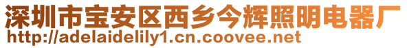 深圳市寶安區(qū)西鄉(xiāng)今輝照明電器廠