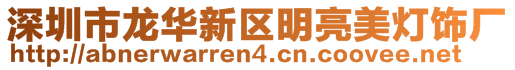 深圳市龙华新区明亮美灯饰厂