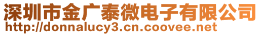 深圳市金廣泰微電子有限公司