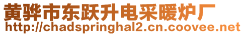 黄骅市东跃升电采暖炉厂