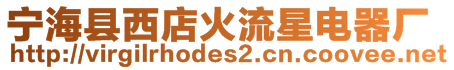 寧海縣西店火流星電器廠