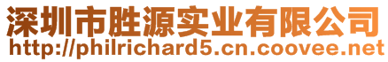 深圳市胜源实业有限公司