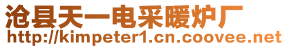 滄縣天一電采暖爐廠