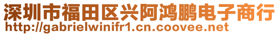 深圳市福田區(qū)興阿鴻鵬電子商行