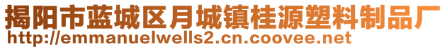 揭陽(yáng)市藍(lán)城區(qū)月城鎮(zhèn)桂源塑料制品廠