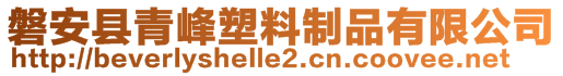 磐安縣青峰塑料制品有限公司