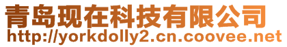 青島現(xiàn)在科技有限公司