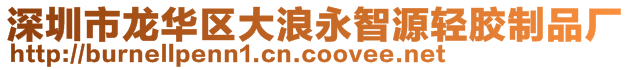 深圳市龙华区大浪永智源轻胶制品厂