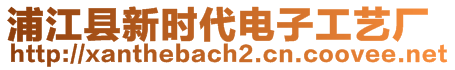 浦江縣新時代電子工藝廠