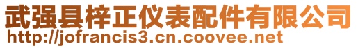 武強(qiáng)縣梓正儀表配件有限公司