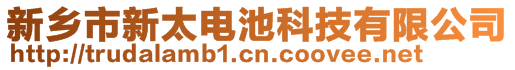 新鄉市新太電池科技有限公司