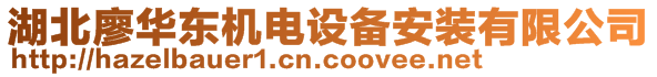 湖北廖華東機(jī)電設(shè)備安裝有限公司