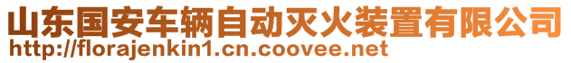 山東國安車輛自動滅火裝置有限公司