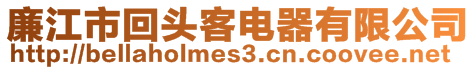 廉江市回頭客電器有限公司