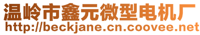 溫嶺市鑫元微型電機廠