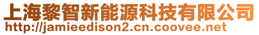 上海黎智新能源科技有限公司