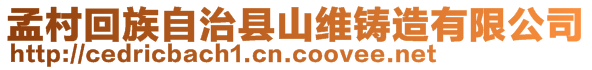 孟村回族自治縣山維鑄造有限公司