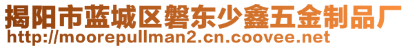 揭陽市藍(lán)城區(qū)磐東少鑫五金制品廠