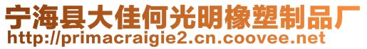 寧?？h大佳何光明橡塑制品廠