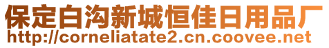 保定白溝新城恒佳日用品廠