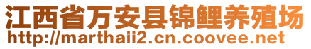 江西省萬(wàn)安縣錦鯉養(yǎng)殖場(chǎng)