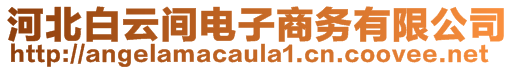 河北白云間電子商務(wù)有限公司