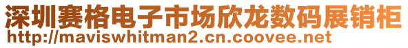 深圳赛格电子市场欣龙数码展销柜