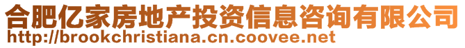 合肥亿家房地产投资信息咨询有限公司