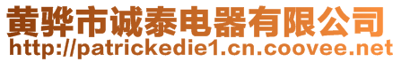 黃驊市誠泰電器有限公司