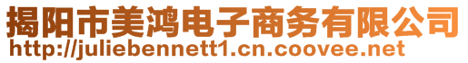 揭陽市美鴻電子商務有限公司