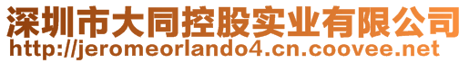 深圳市大同控股实业有限公司