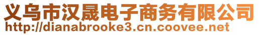 義烏市漢晟電子商務(wù)有限公司