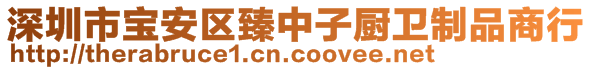 深圳市寶安區臻中子廚衛制品商行
