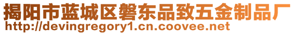 揭陽(yáng)市藍(lán)城區(qū)磐東品致五金制品廠