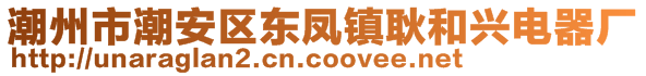 潮州市潮安區(qū)東鳳鎮(zhèn)耿和興電器廠