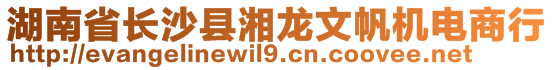 湖南省長(zhǎng)沙縣湘龍文帆機(jī)電商行