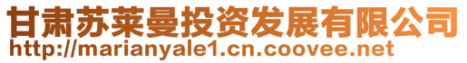 甘肅蘇萊曼投資發展有限公司