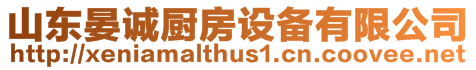 山東晏誠(chéng)廚房設(shè)備有限公司