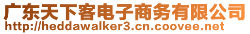 廣東天下客電子商務(wù)有限公司