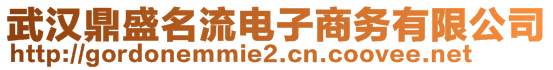 武漢鼎盛名流電子商務有限公司