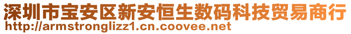 深圳市寶安區(qū)新安恒生數(shù)碼科技貿(mào)易商行