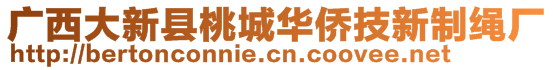 廣西大新縣桃城華僑技新制繩廠