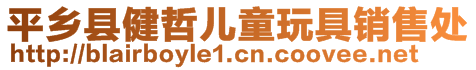 平鄉(xiāng)縣健哲兒童玩具銷售處