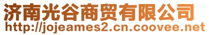 濟南光谷商貿(mào)有限公司